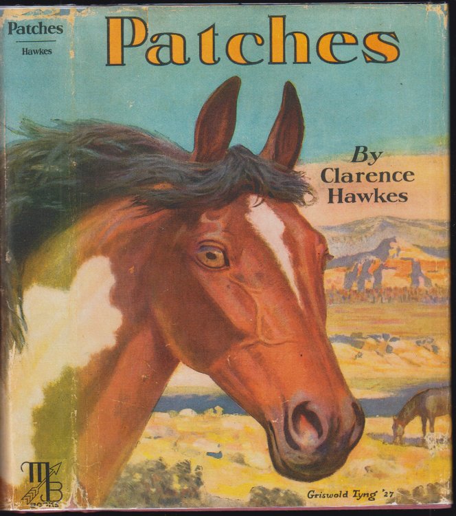 Patches A Wyoming Cow Pony
